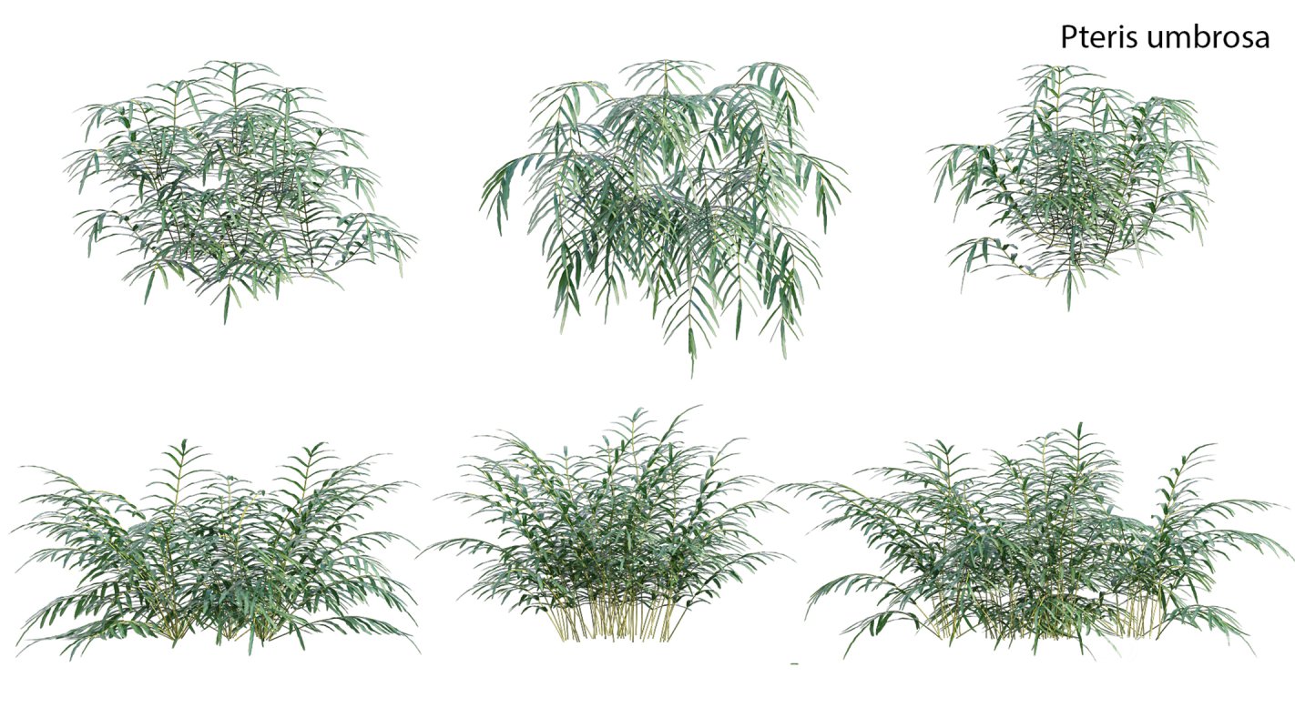 Collection 21 – Vertical garden – Green wall Image 20