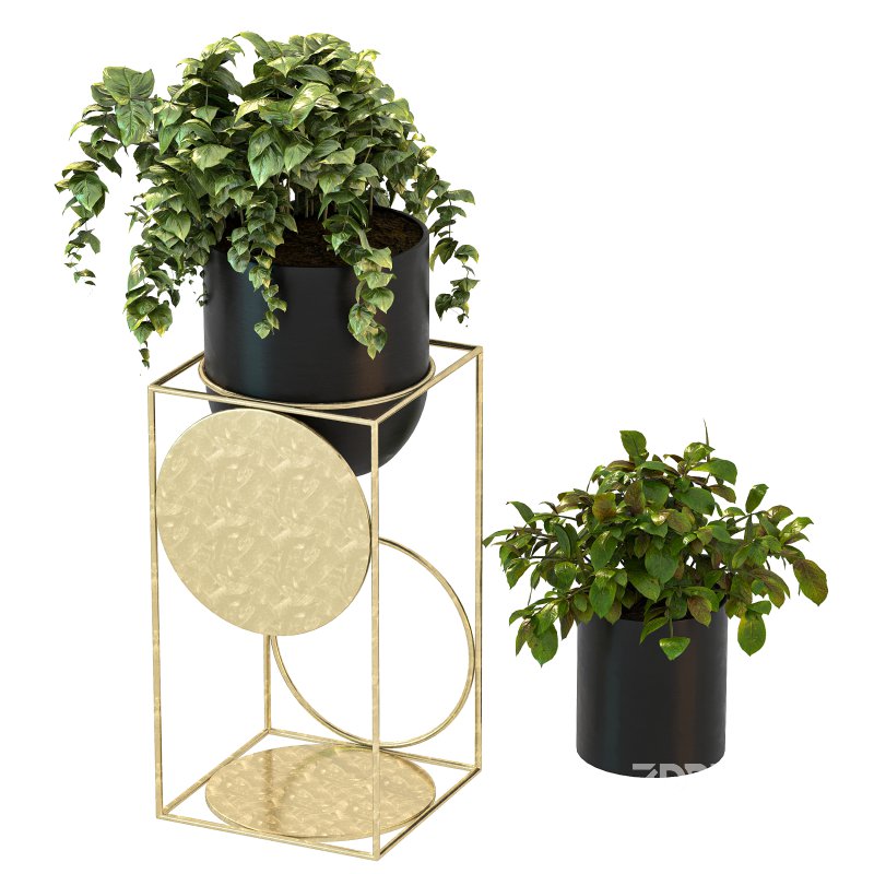 Modern Planters With Geometric Designs 02 Image 3
