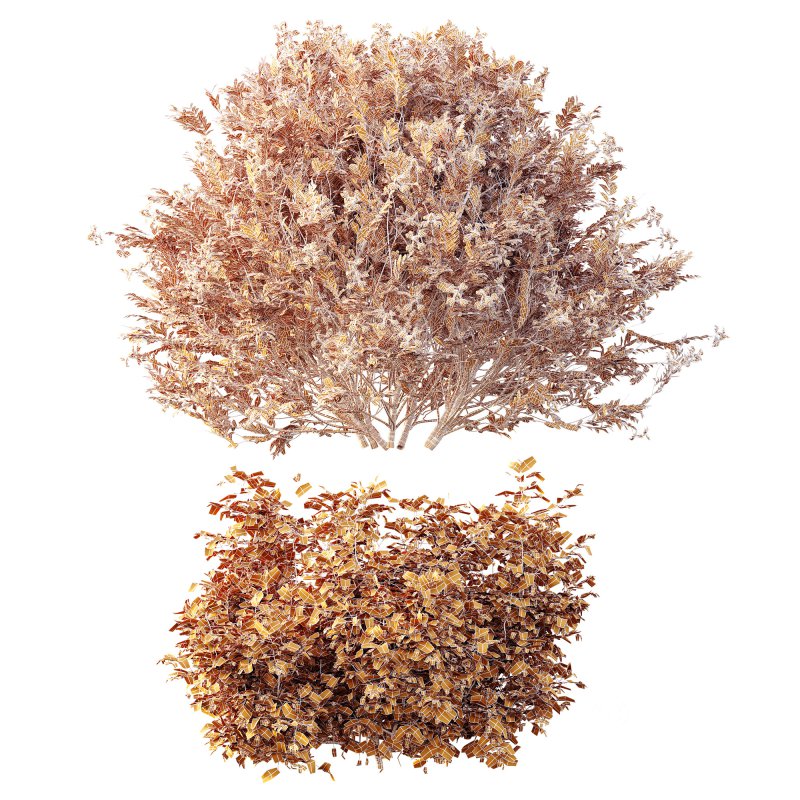 ntal shrubs, designed with botanical precision for photorealistic exterior rendering. Image 10