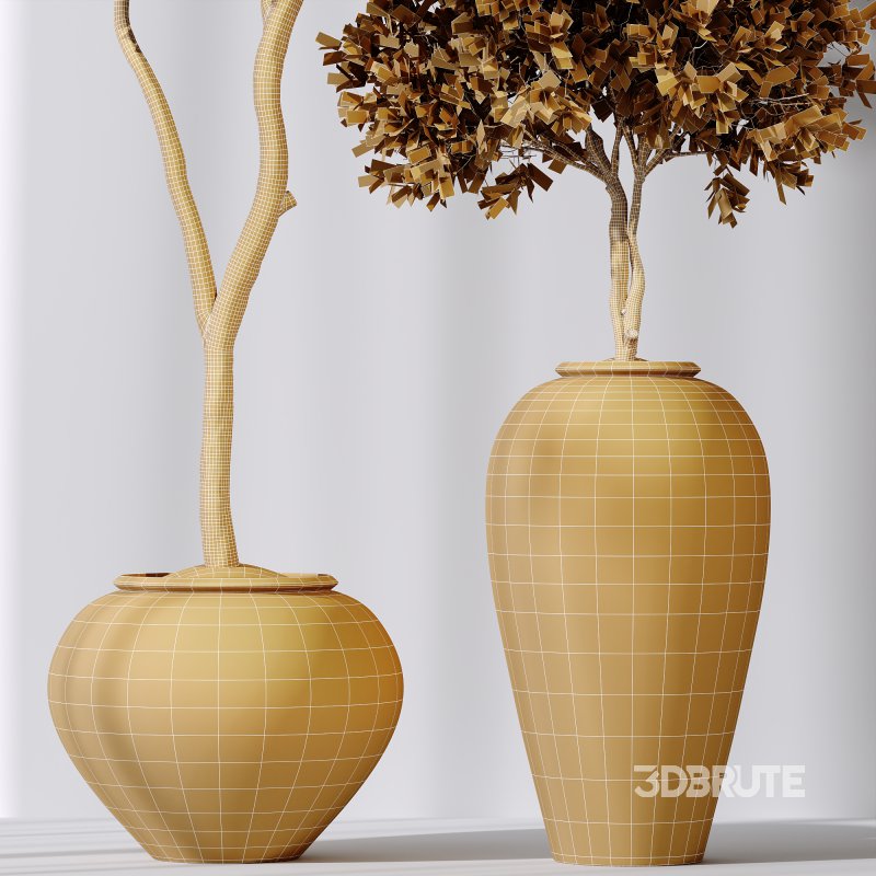 AV Indoor Plants Set 399 Olive and Dracaena Warneckii and Ficus Cyathistipula and Ficus Elastica Image 8