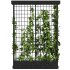 Vertical Garden Trellis 02 - Thumbnail 5