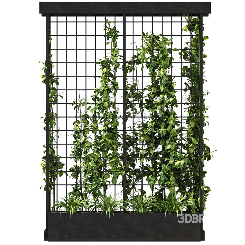 Vertical Garden Trellis 02 Image 5