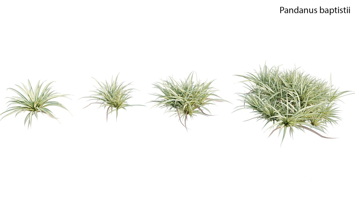 Collection 19 – Japanese garden Image 26