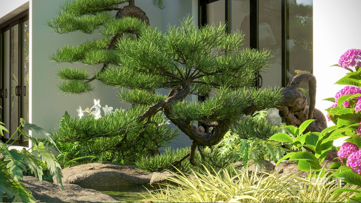 Collection 19 – Japanese garden Image 3