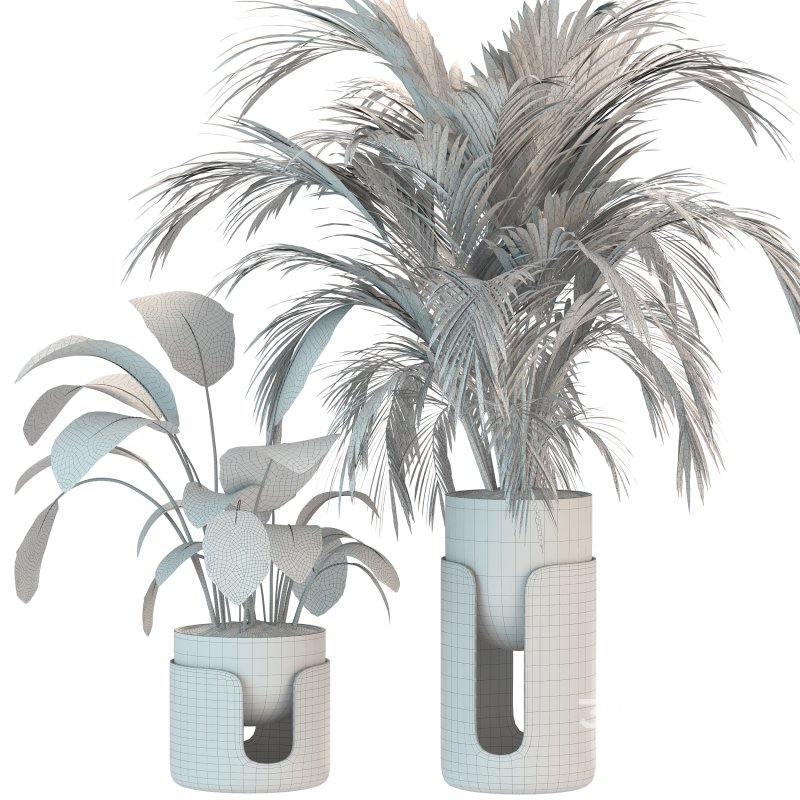 Plant Set 12 Image 1