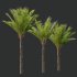 AV Phoenix Dactylifera Date Jurassic Palm Tree and Ash Maple Tree - Thumbnail 8