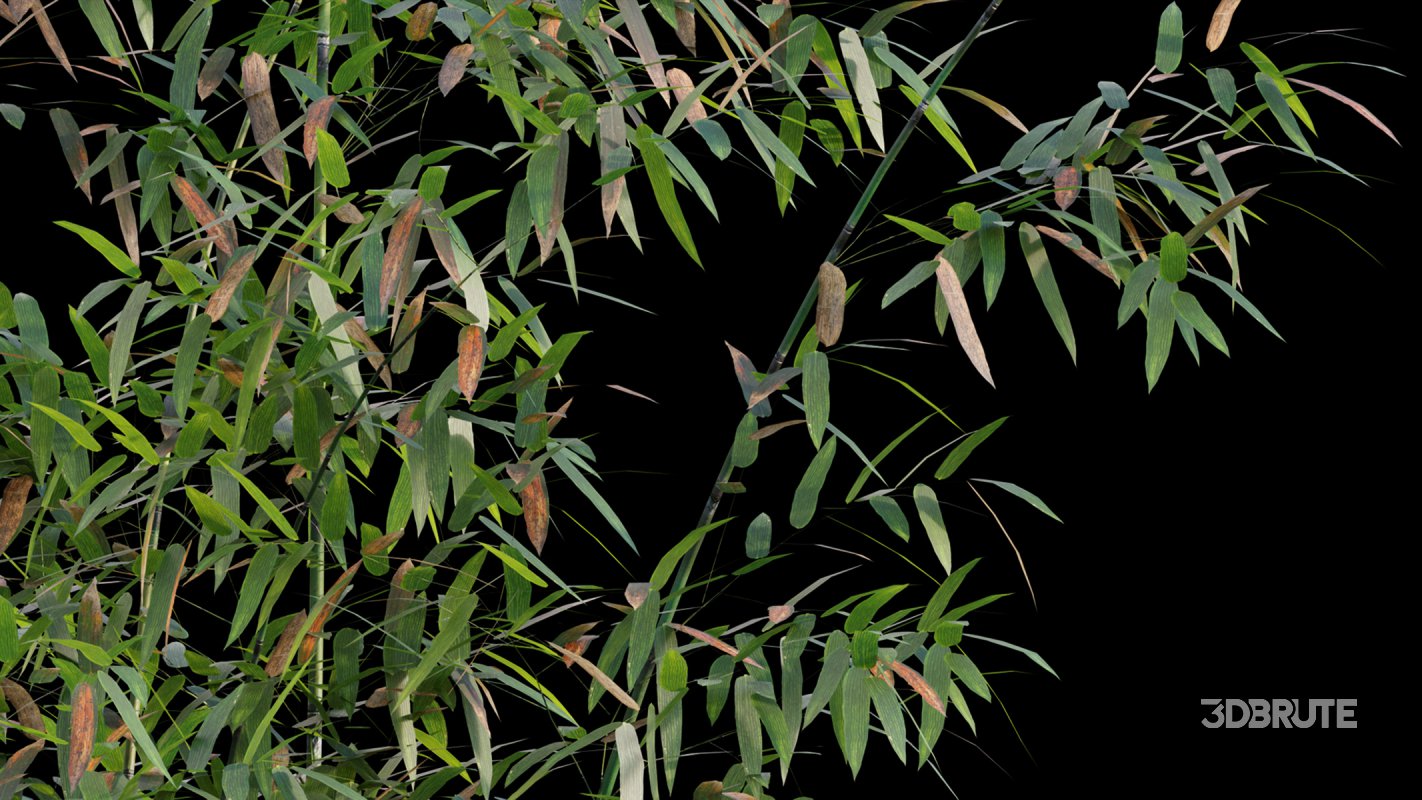 Collection 18 – Chinese garden Image 7