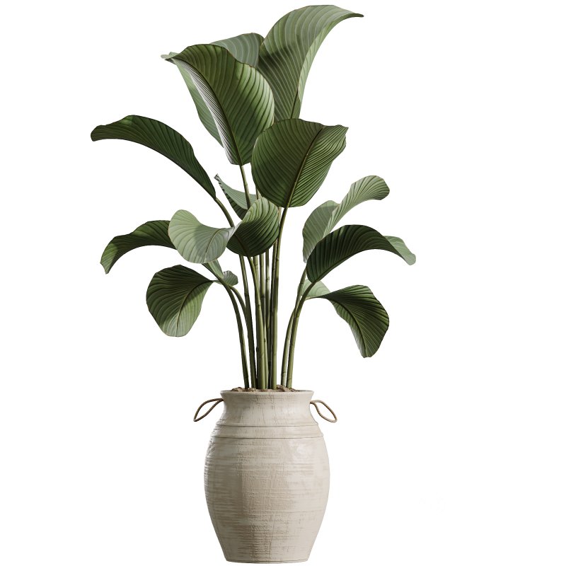 AV Indoor Plants Set 392 Image 5