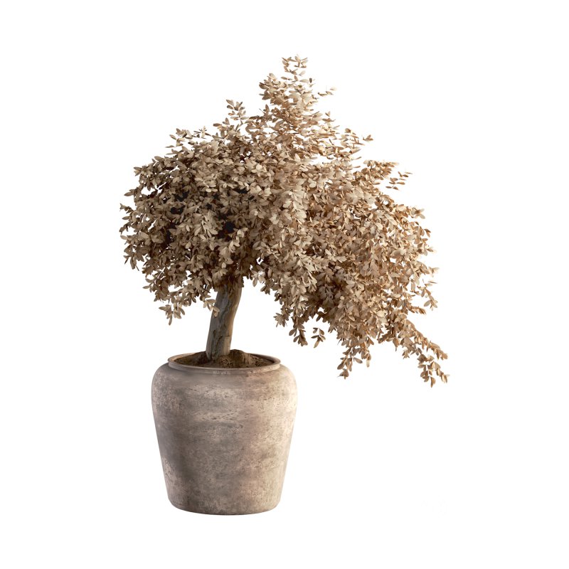 Indoor Plant Set 029 Image 5