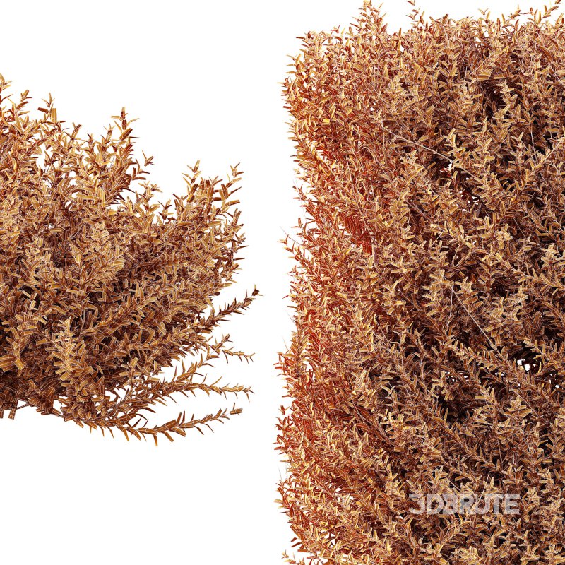 ntal evergreen shrubs, designed with exceptional precision for architectural visualization and landscape rendering. Image 8