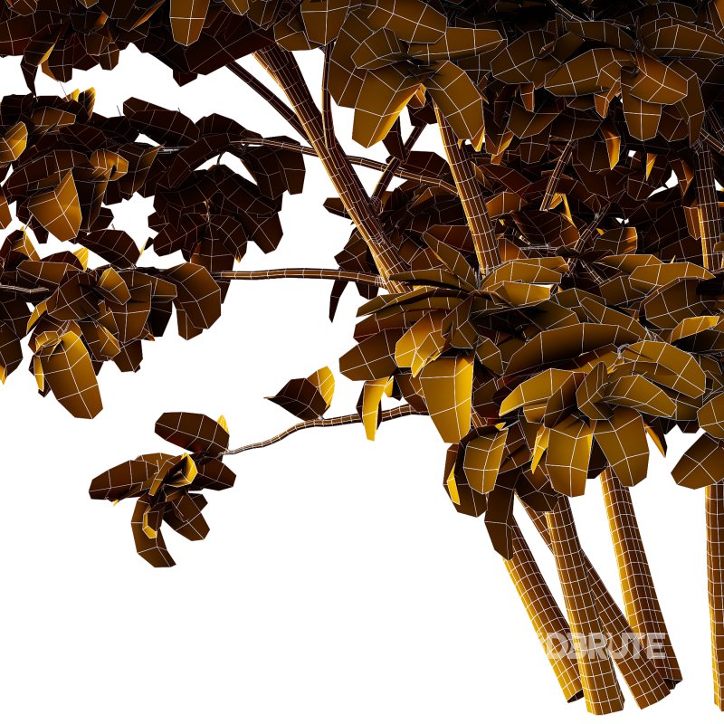 Philadelphia Bush 07 Image 3