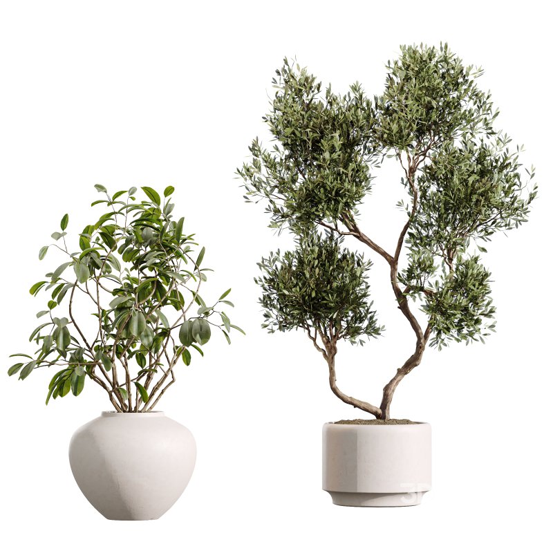 AV Indoor Plants Set 388 Image 7