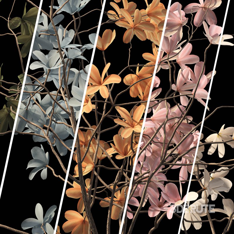 Indoor plant 075 Image 5