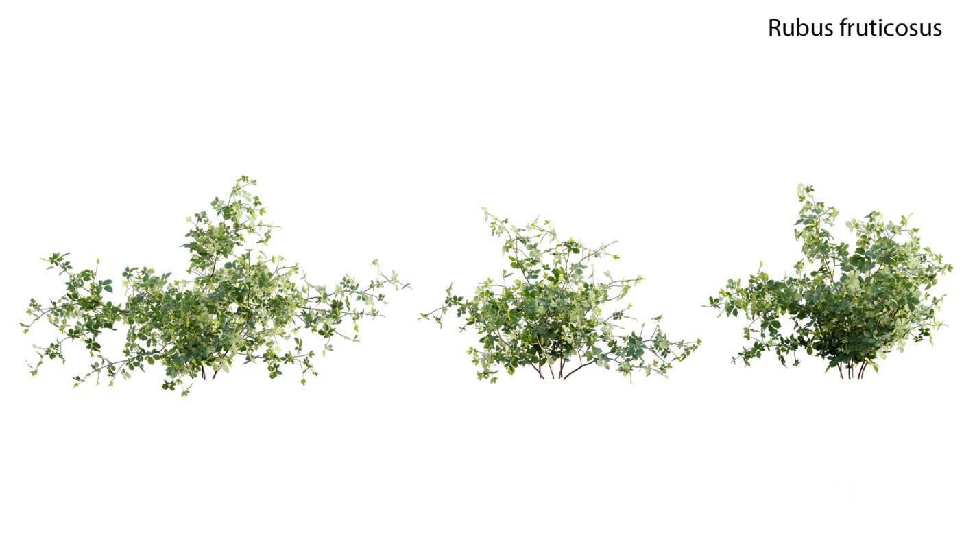 Collection 18 – Chinese garden Image 37