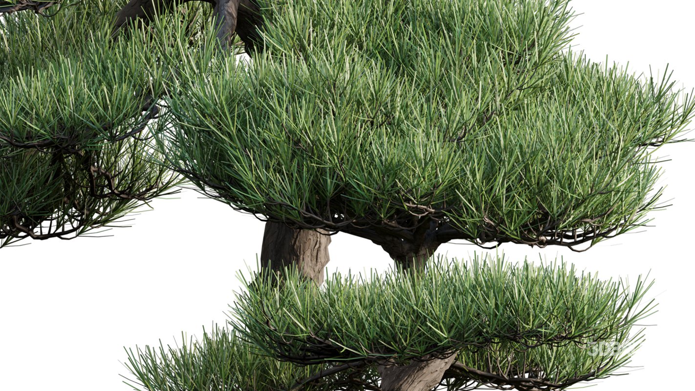 Collection 19 – Japanese garden Image 39