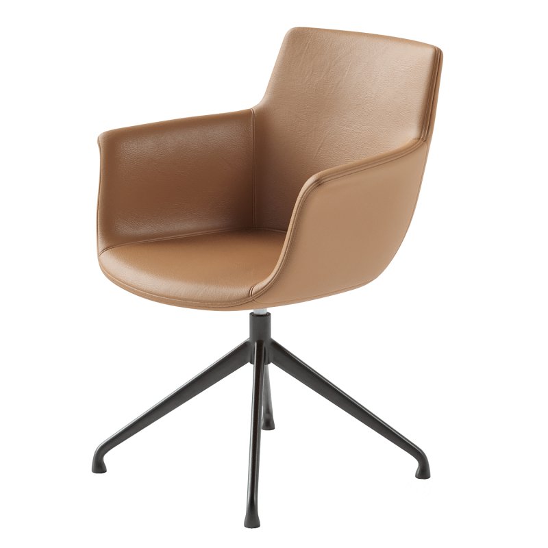 Bottega Spider Swivel Chair Image 3