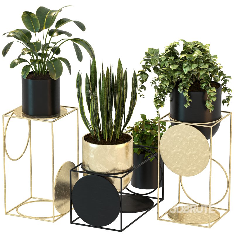 Modern Planters With Geometric Designs 02 Image 7