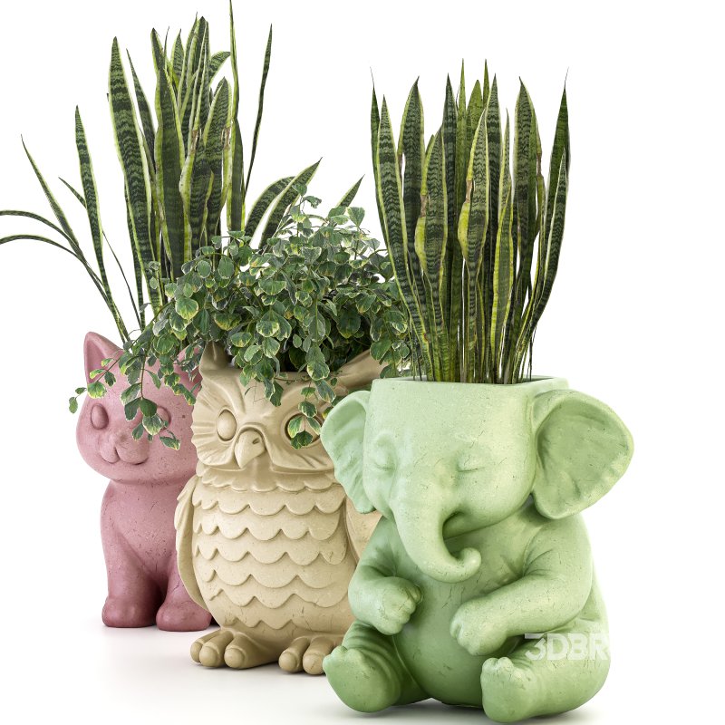 Concrete Pot Plant Set 02 Image 3