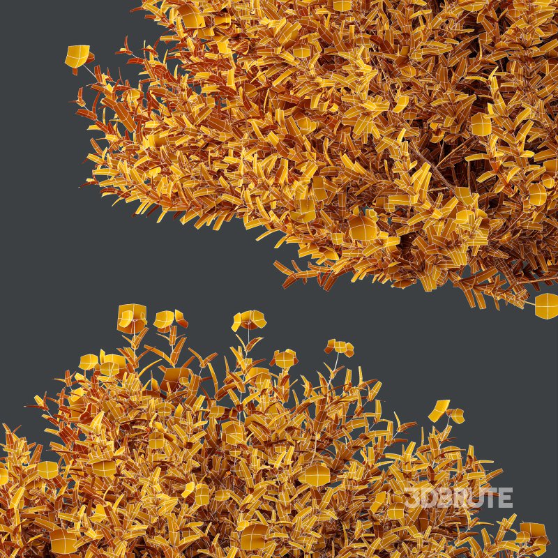 ntal shrubs that capture the natural charm and density of this iconic Australian plant. Perfectly suited for realistic landscape and architectural rendering. Image 10