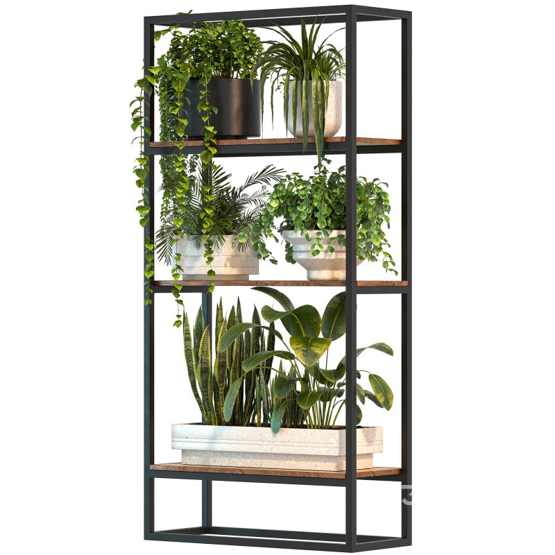 Metal Stand & Wooden Shelf Plant Image 3