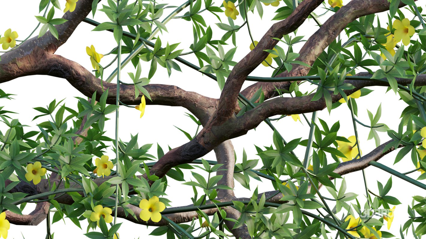 Collection 18 – Chinese garden Image 4