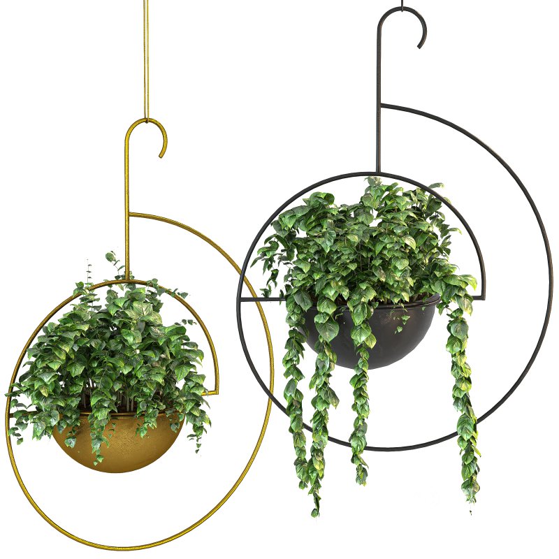 Metal hanging plants 06 Image 2