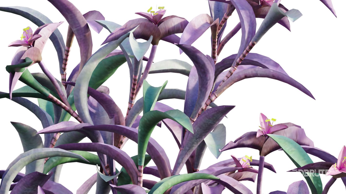 Collection 21 – Vertical garden – Green wall Image 23