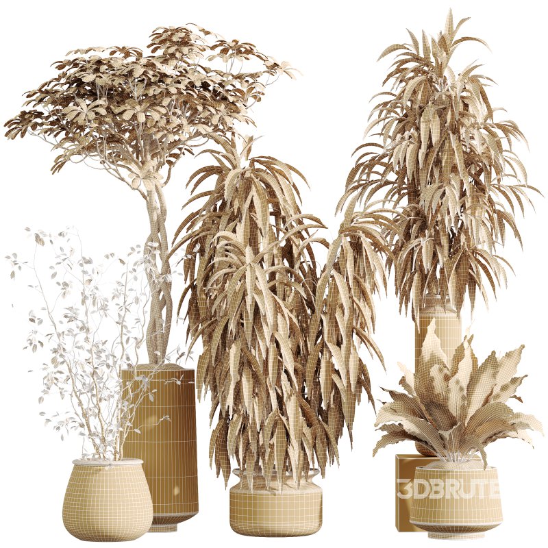 AV Indoor Plants Set 393 Spathiphyllum Wallisii and Ficus Binnendijki and Schefflera Arboricola and Japandi Decorative Image 8