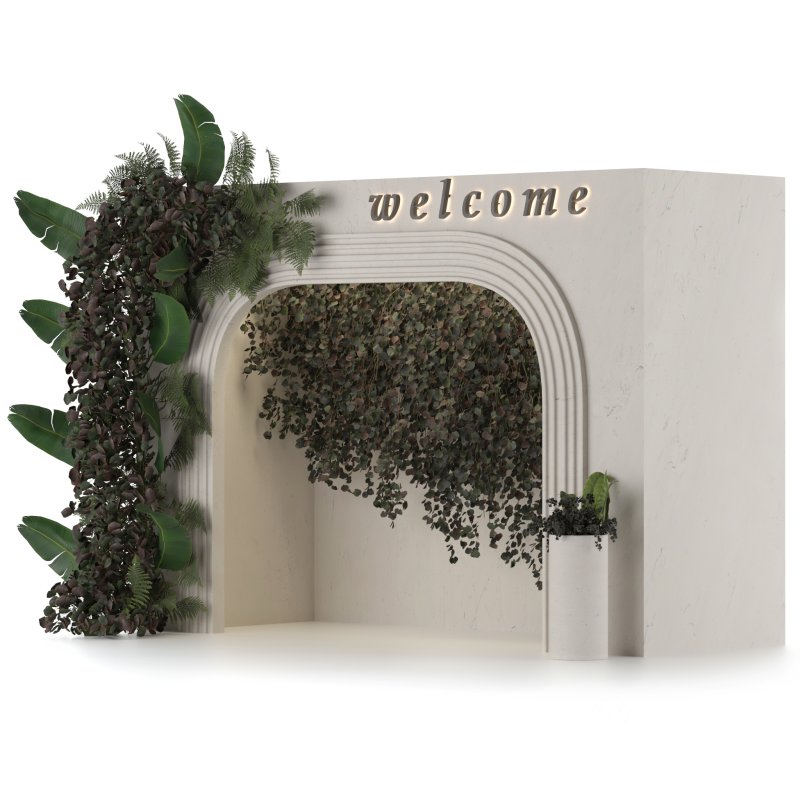 welcome area box with plant Image 1