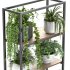 Metal Stand & Wooden Shelf Plant - Thumbnail 2