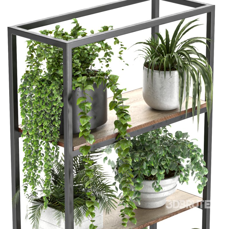 Metal Stand & Wooden Shelf Plant Image 2