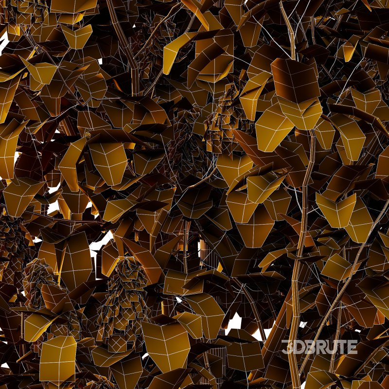 Lilac Syringa Vulgaris Tree 04 Image 2