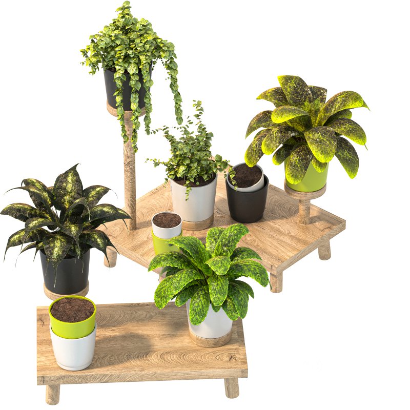 Wooden Stand Plant Image 5