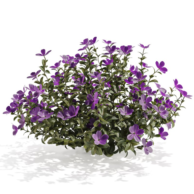 Purple Phlox Bush Arrangement Image 1