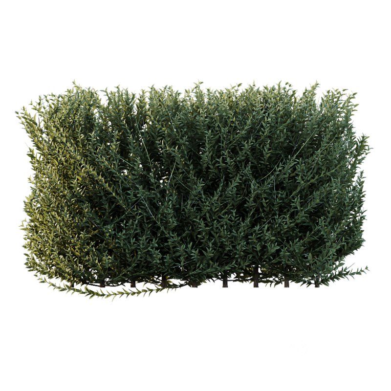 ntal evergreen shrubs, designed with exceptional precision for architectural visualization and landscape rendering. Image 2