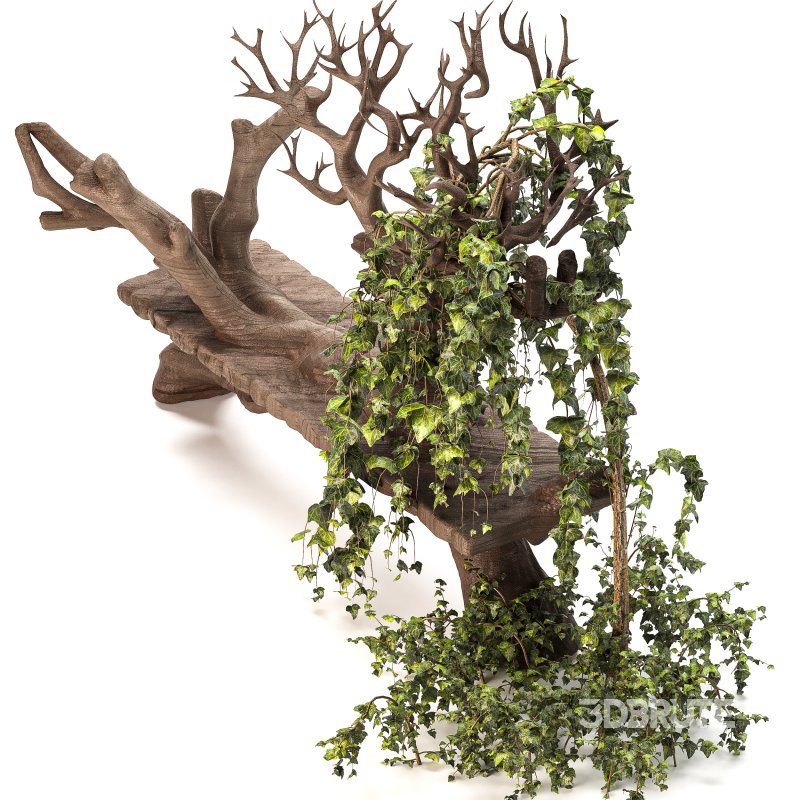 Wooden bench with English ivy Image 6