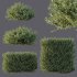 ntal evergreen shrubs, designed with exceptional precision for architectural visualization and landscape rendering. - Thumbnail 5