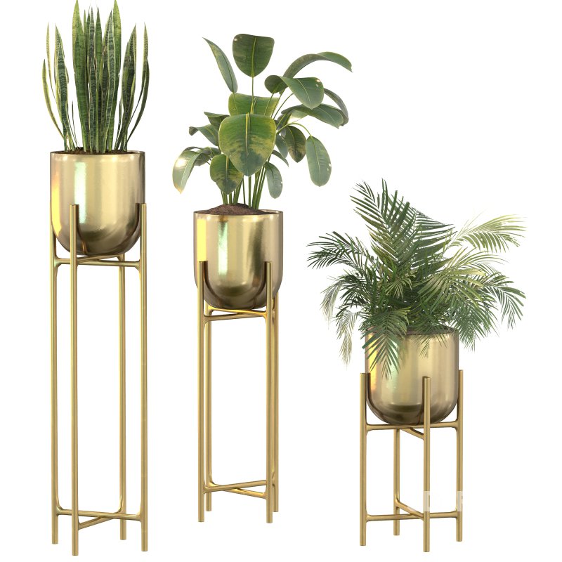 Metal Plant Set 06 Image 9