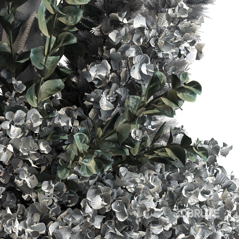 Bouquet of flowers set 05 Image 6