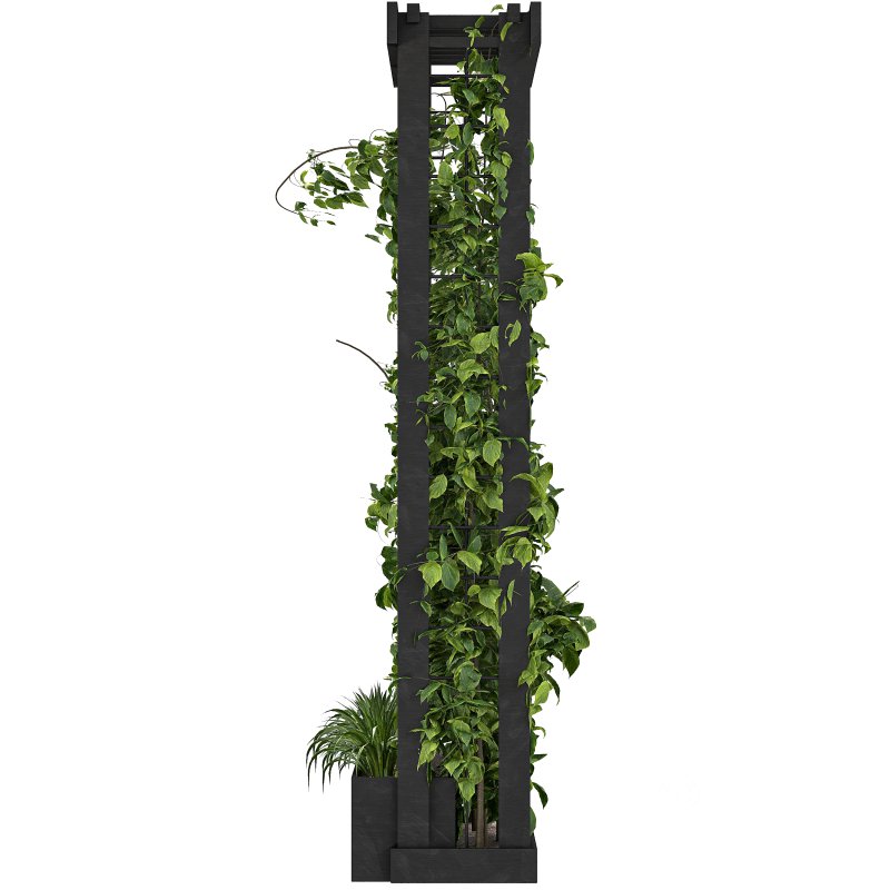 Vertical Garden Trellis 02 Image 1