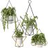 Modern Planters With Geometric Designs - Thumbnail 6