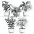 plants set on shelf - Thumbnail 3