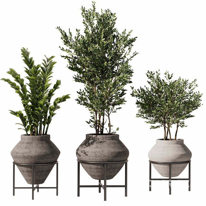 Indoor Plants Set 101 Image 7