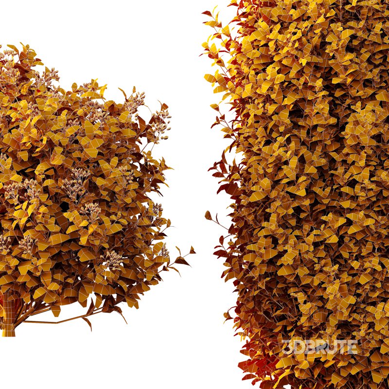 ntal shrubs, carefully crafted for high-quality landscape and architectural visualization. Image 9