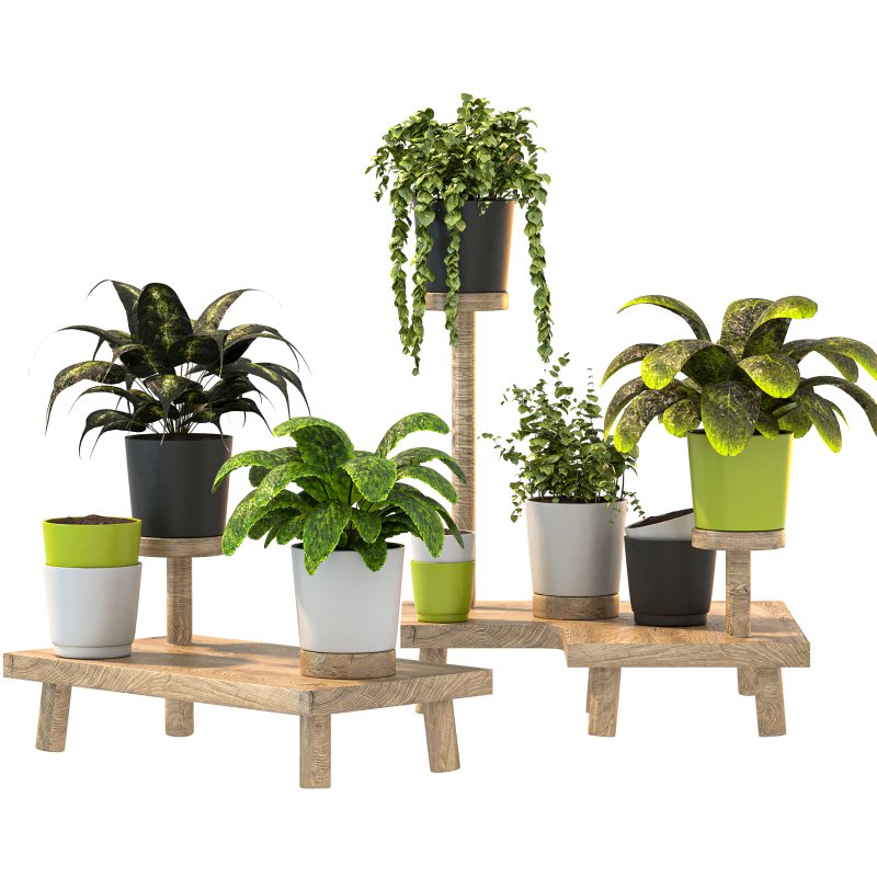 Wooden Stand Plant Image 3