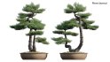 Collection 19 – Japanese garden - Thumbnail 37