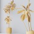 AV Indoor Plants Set 396 Dypsis Lutescens and Ficus Cyathistipula and Cyara Areca Palm - Thumbnail 10