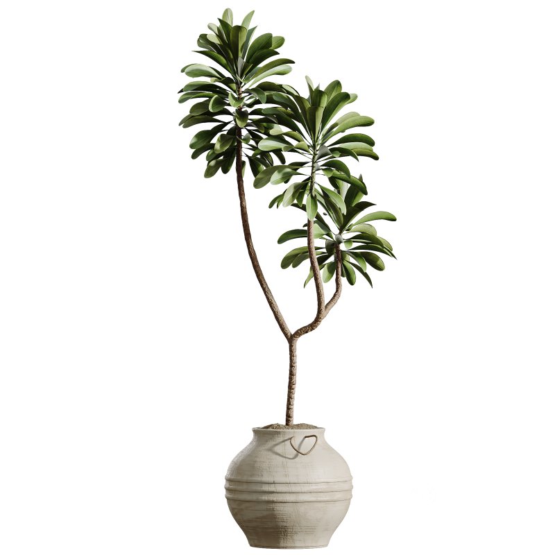 AV Indoor Plants Set 392 Image 4