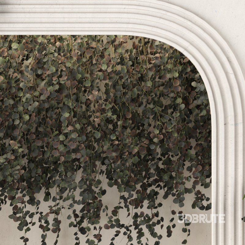 welcome area box with plant Image 4