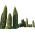 ntal shrubs, featuring four expertly pruned forms — columnar, conical, oval, and dome. Each model is crafted with high botanical accuracy to represent the elegance and precision of formal topiary design. - Thumbnail 1